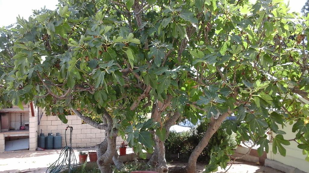 Sant Isidoro  Villa Renzo E Lucia מראה חיצוני תמונה